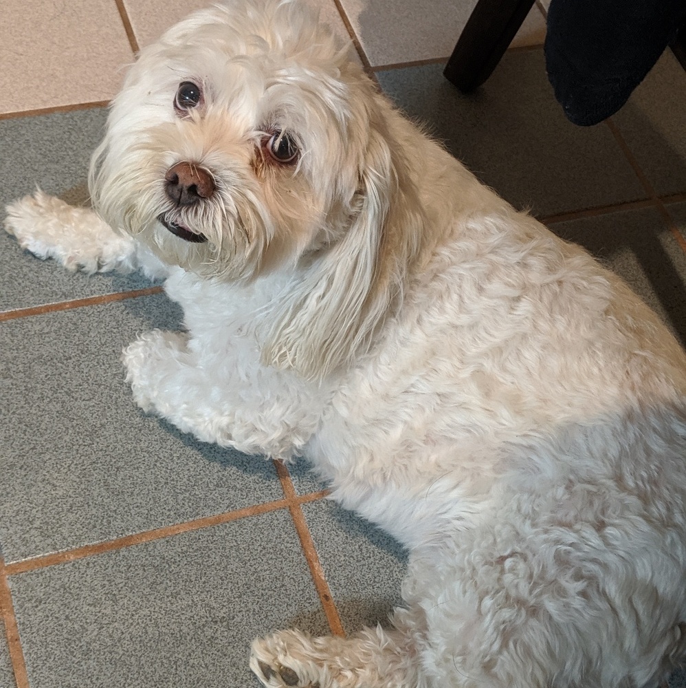 Meet your Posher, Sheila